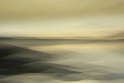 Golden Morning Wall Mural