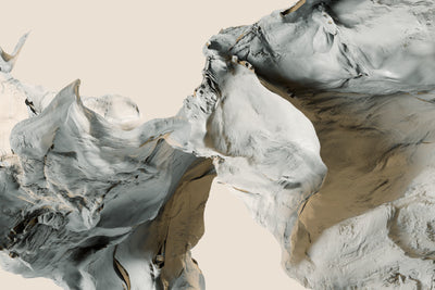 Field of Movement Wall Mural