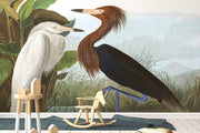Purple Heron Wall Mural