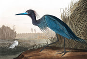 Blue Crane Wall Mural